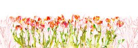 tulips by Harald lakerveld