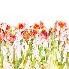 tulips by Harald lakerveld
