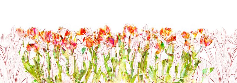 Tulpen von Harald lakerveld
