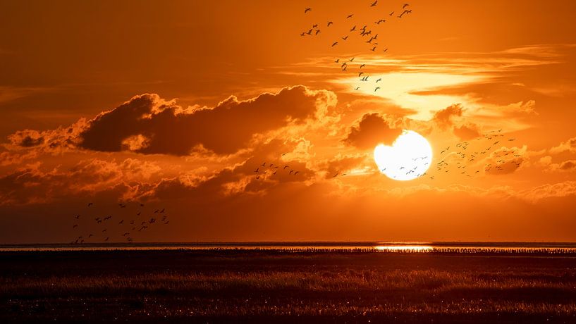 Emmapolder, Groninger Wattenmeer von Ton Drijfhamer