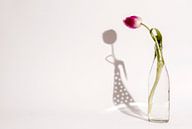 Tulpenmädchen-Schatten von shoott photography Miniaturansicht