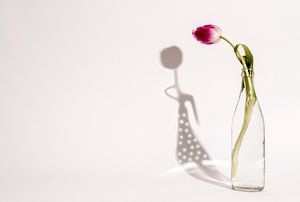 Tulpenmädchen-Schatten von shoott photography