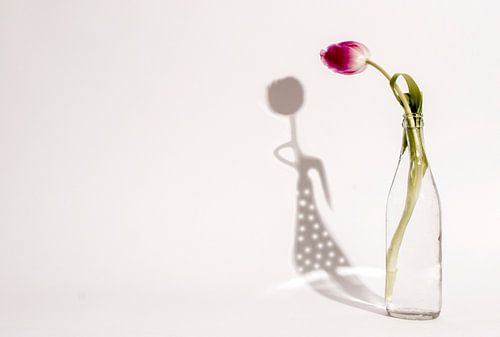 Tulp meisje schaduw