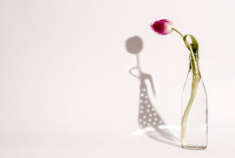 Tulpenmädchen-Schatten von shoott photography