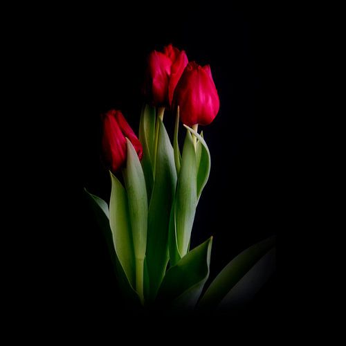 a young couple in a threesome #009