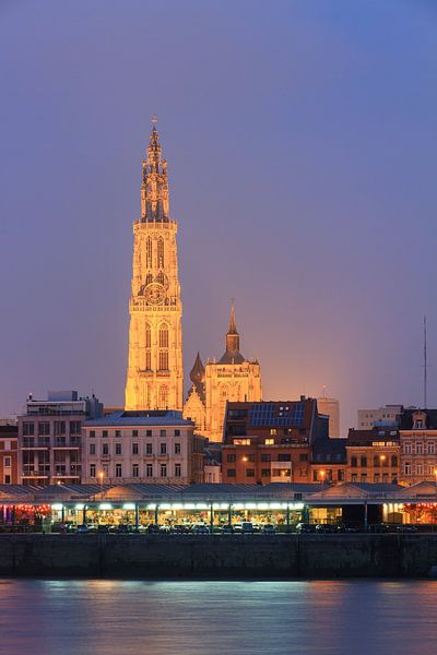 Onze-Lieve-Vrouwekathedraal aan de Schelde in Antwerpen by Dennis van de Water