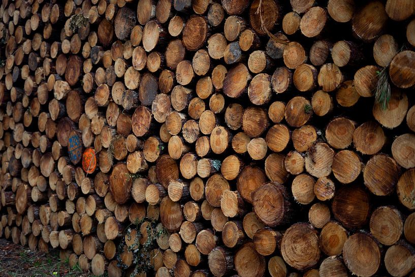 Stack of wood in front of the door by Dieuwertje Van der Stoep