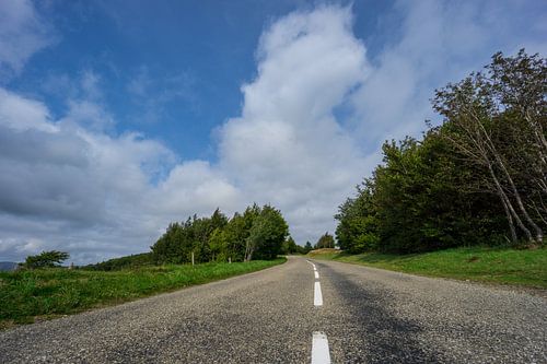 Frankrijk - Gebogen straat tussen bos van alsace bij route de cretes