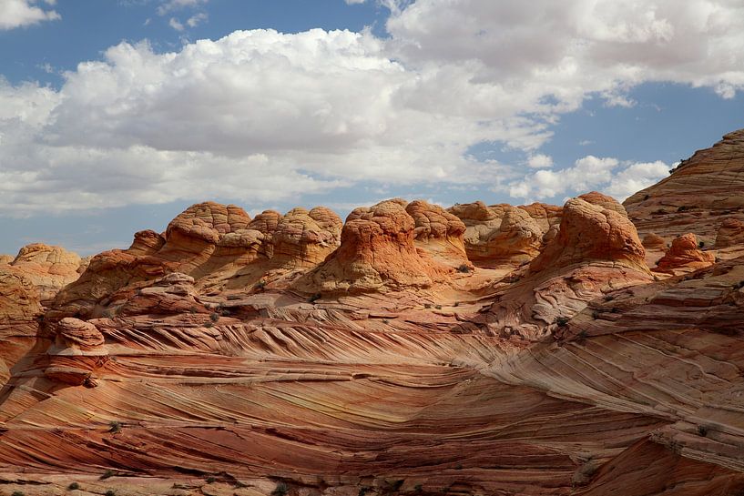 Rotsformaties in de North Coyote Buttes, deel van het Vermilion Cliffs National Monument. Dit gebied van Frank Fichtmüller
