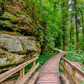 Mullerthal trail Luxemburg. van marc meijlaers