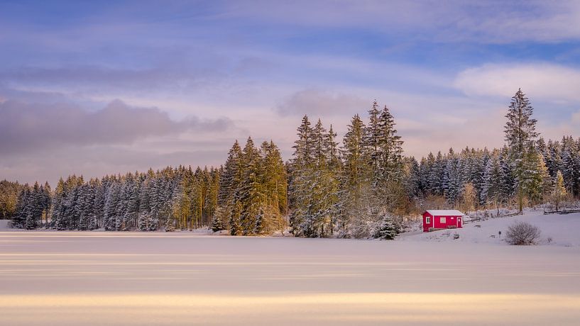 L'étang de Bärenbrucher dans les montagnes du Harz par Steffen Henze