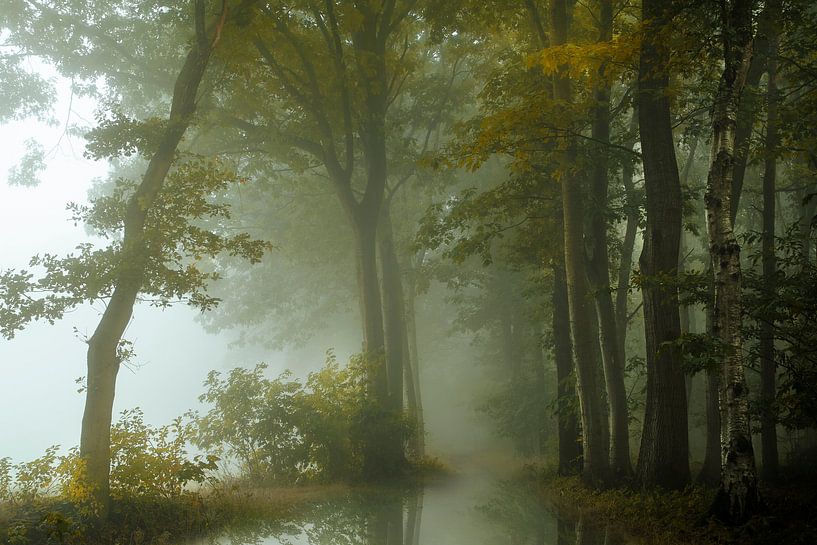 Brouillard sur Kees van Dongen