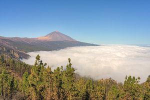 Teneriffa Mirador de Chipeque