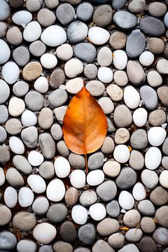 Pebbles of Serenity by ByNoukk