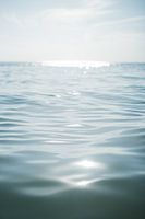 All shades of blue