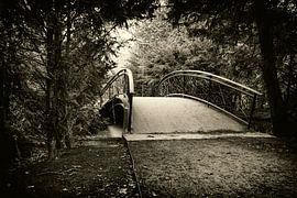 Bridge in Tilburg Wilhelminapark by Jan van der Knaap