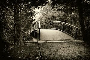 Brugske in Tilburgs Wilhelminapark