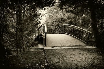 Pont à  Wilhelminapark à Tilburg