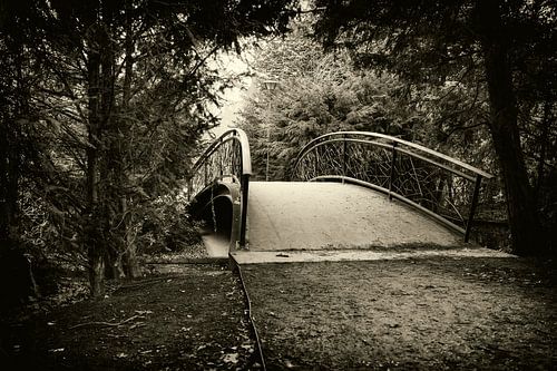 Pont à  Wilhelminapark à Tilburg