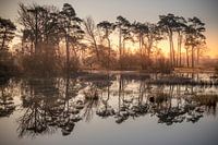 Reflection at sunrise