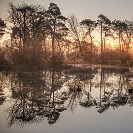 Reflectie bij zonsopkomst van Gerard van der Wal