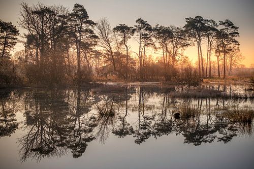 Reflexion bei Sonnenaufgang