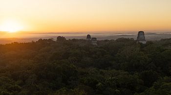 Tikal im Morgennebel über dem Dschungel