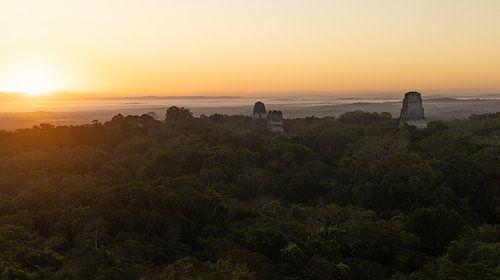 Tikal im Morgennebel über dem Dschungel