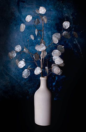 Judaspenning in Grespotje.