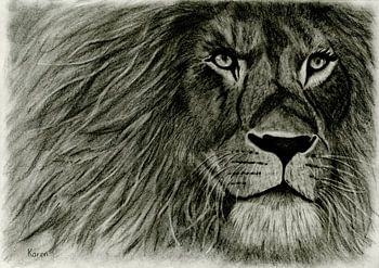 Lion artwork charcoal drawing