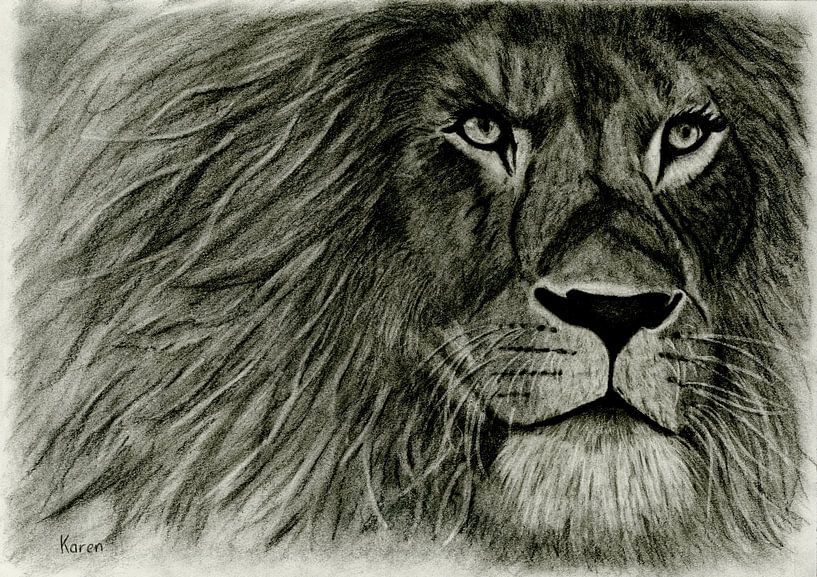 Lion artwork charcoal drawing by Karen van Gerner