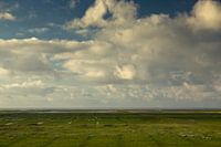 niets dan wolken en wad