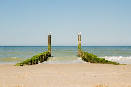 Blick auf den Strand