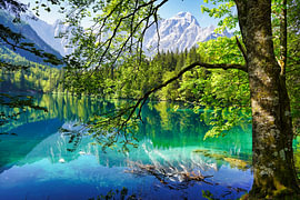 Nature’s refreshing, vibrant colours by Tobias Reißing