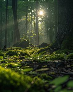 Herbstwald