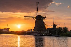 Yellow Evening