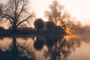 Uriger Sonnenaufgang