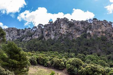 Landschap op de Coll de Soller in Mallorca van Reiner Conrad