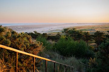 La plage verdoyante de Terschelling sur Wendy de Jong