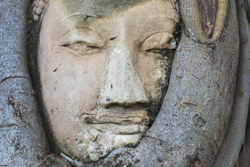 Where nature preserves the Buddha