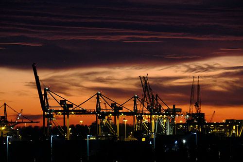 Zonsondergang in Rotterdam