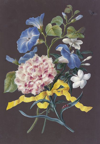 Bloemenmand met roze anjer, Barbara Regina Dietzsch van Meesterlijcke Meesters
