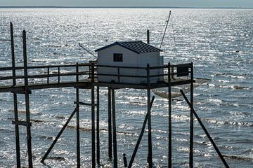 carrelet sur le golfe de Gascogne sur Hanneke Luit