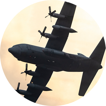 Lockheed C-130 Hercules militair vliegtuig van de Koninklijke Luchtmacht van Sjoerd van der Wal Fotografie