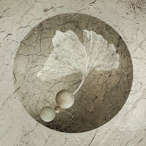 Playing along 3. Ginkgo blad.