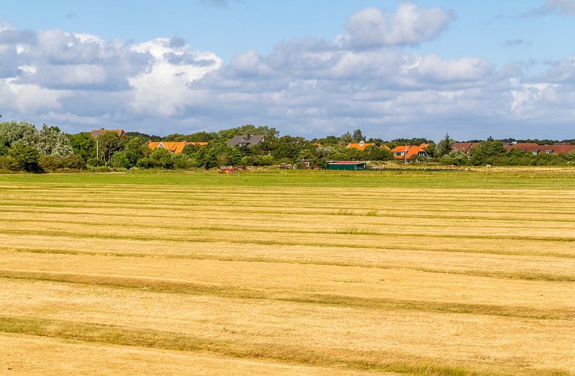 Spiekeroog in Ostfriesland von Achim Prill
