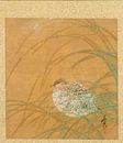 Shibata Zeshin - Blad uit Album met Seizoensgebonden Thema's, Kustlijn met Vogels van 1000 Schilderijen thumbnail