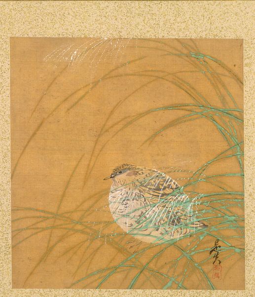 Shibata Zeshin - Blad uit Album met Seizoensgebonden Thema's, Kustlijn met Vogels van 1000 Schilderijen