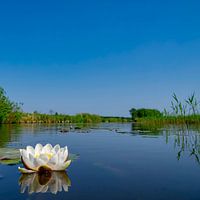 Nationalpark Weerribben Wieden