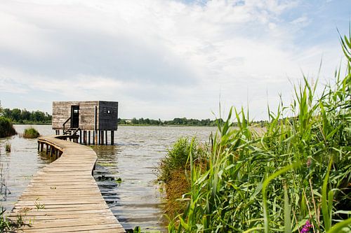 Serene Bird Lodge am See mit Rampe